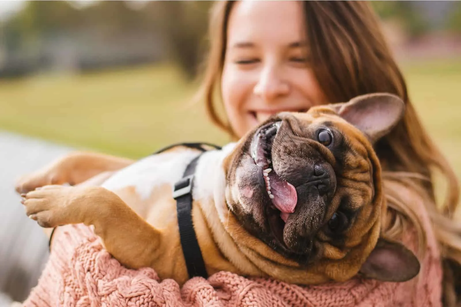 smiling woman holding cheerful french bulldog