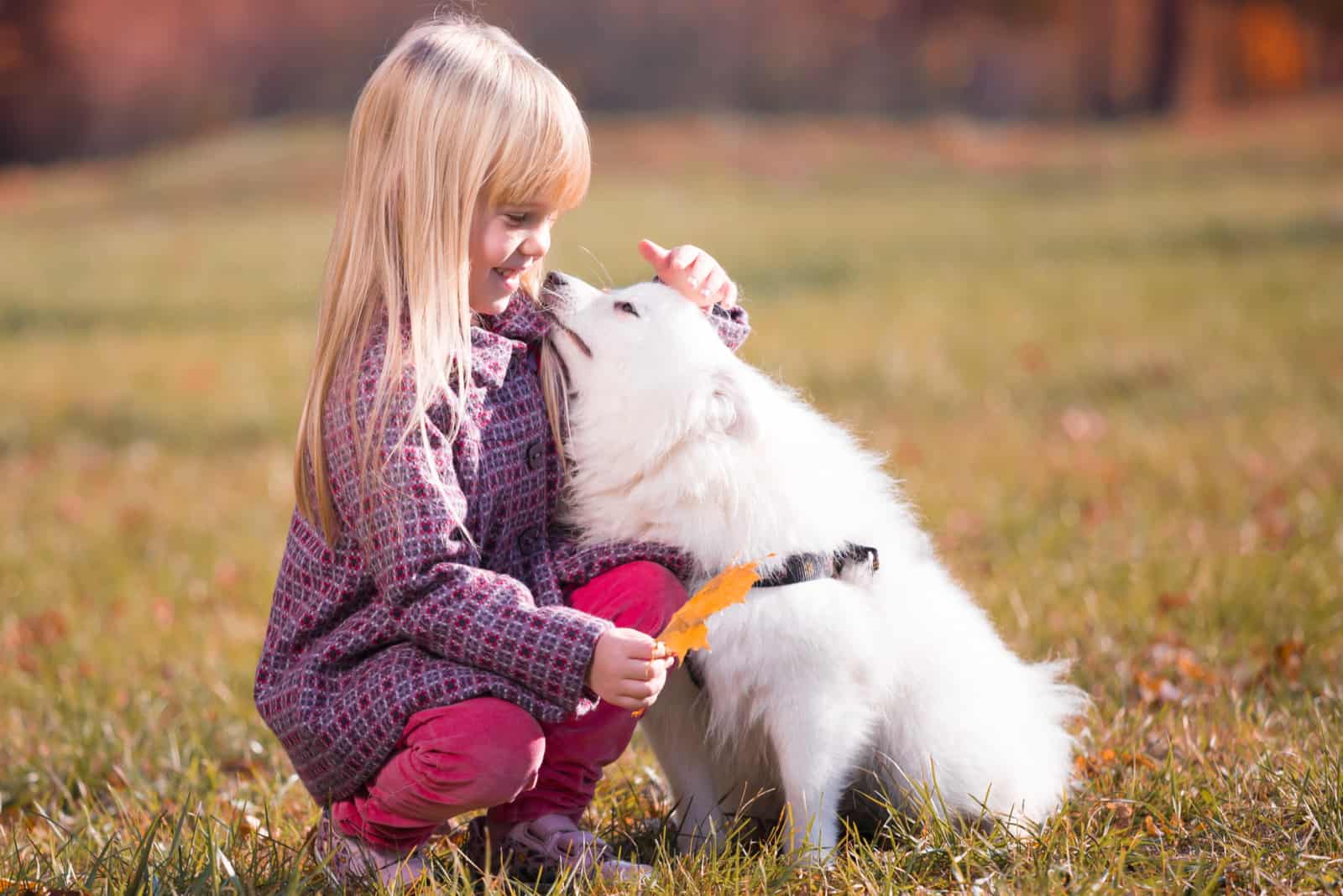 beautiful young girl plays with japanese spitz