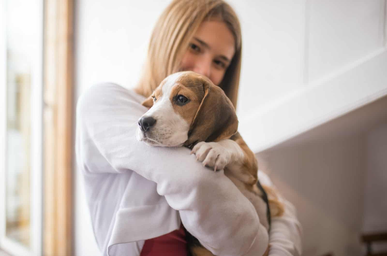 blonde woman holding a beagle