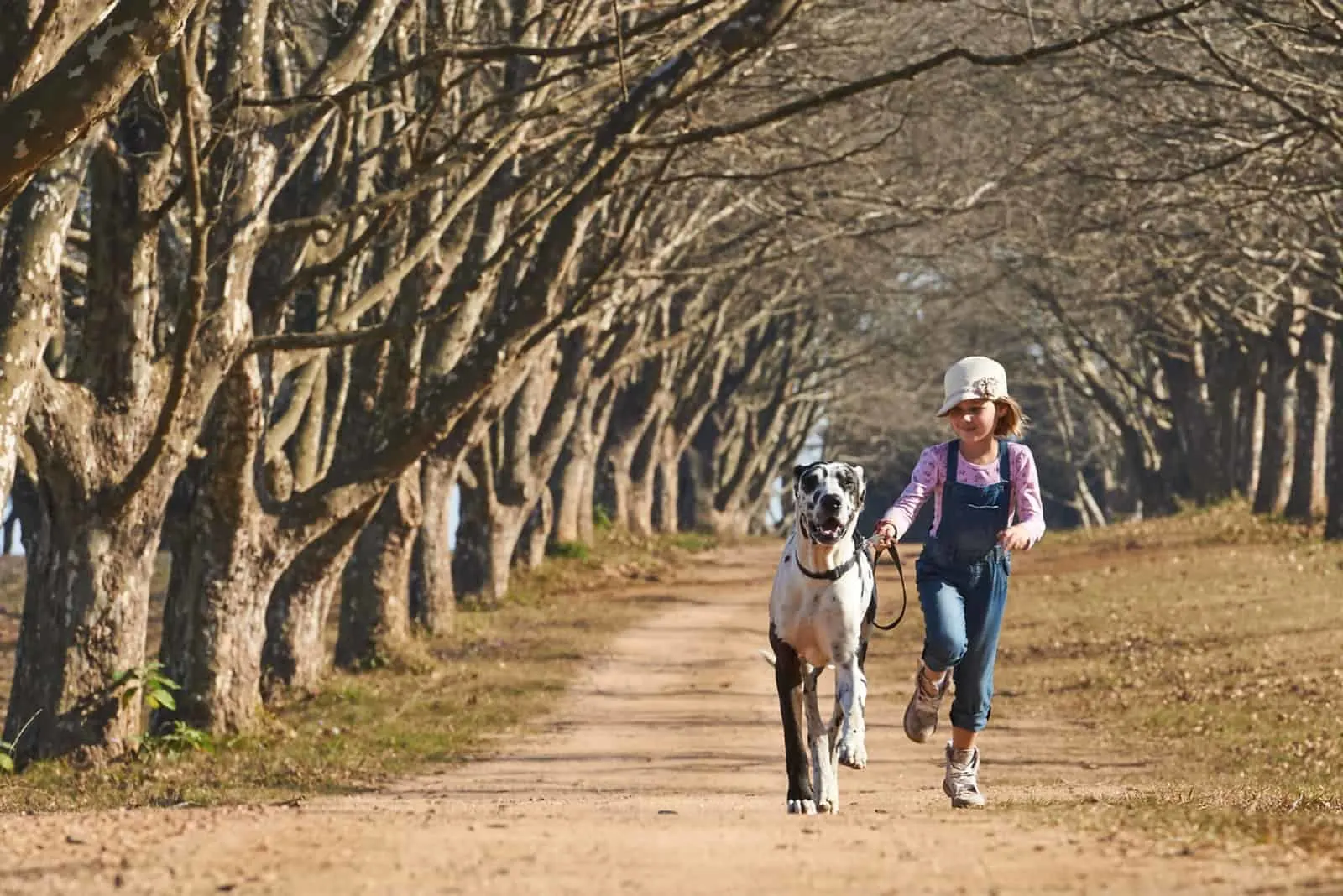 girl running with her dog great dane