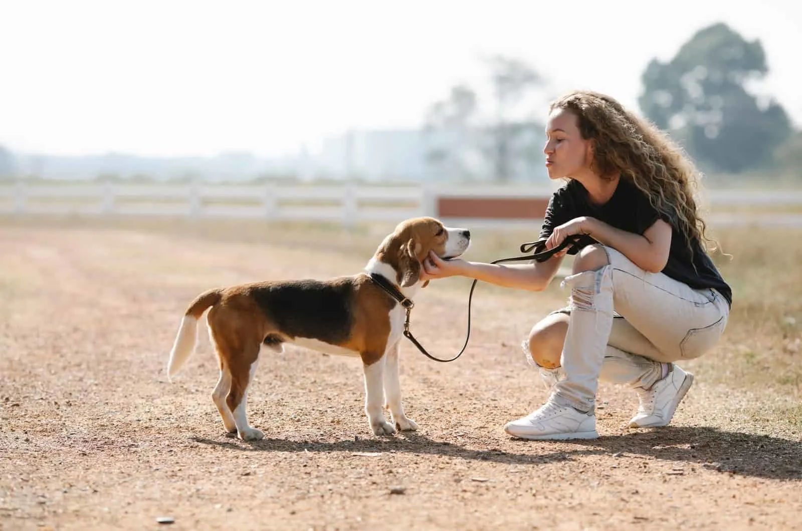 woman pets her beagle pet
