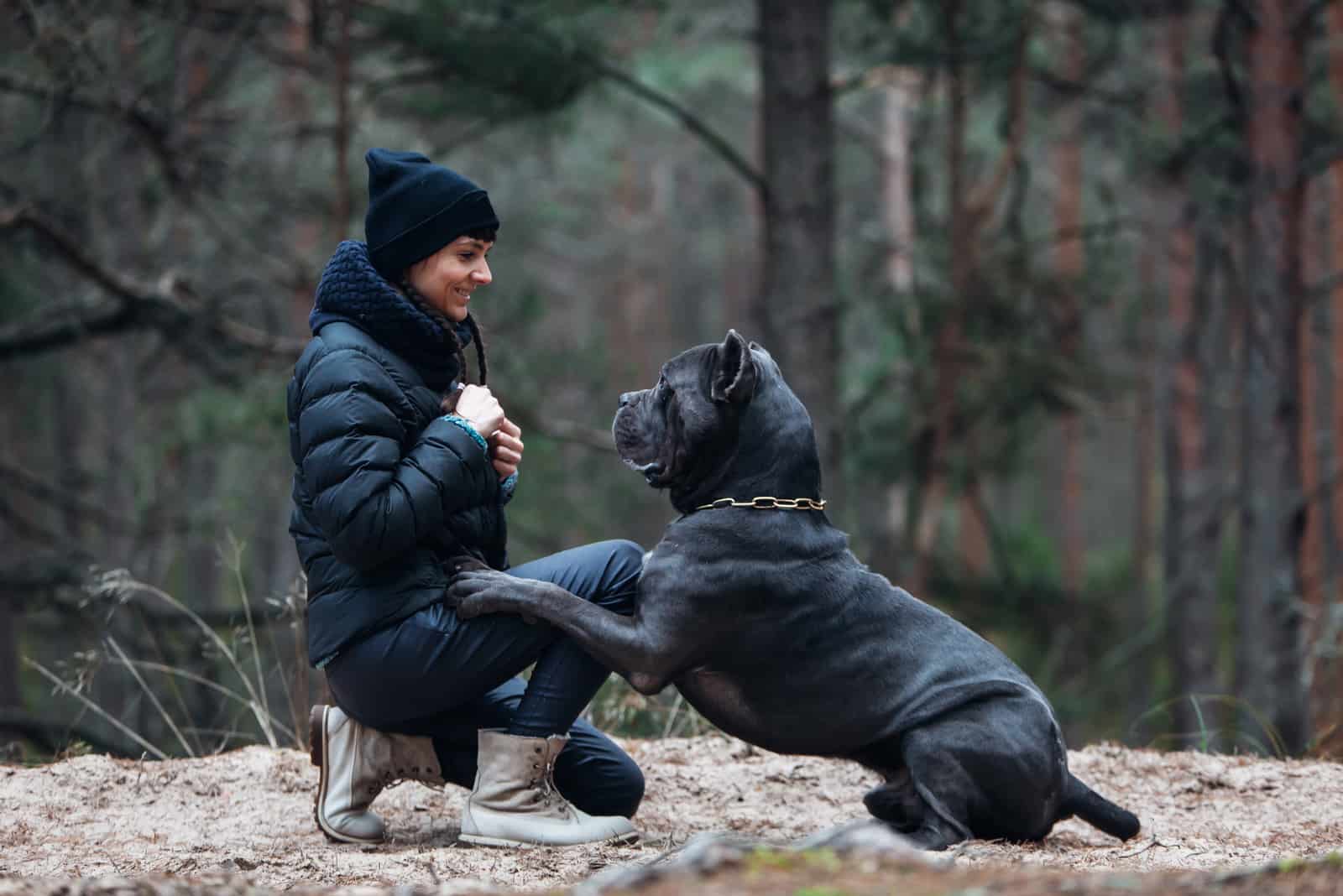 woman training her cane corso dog