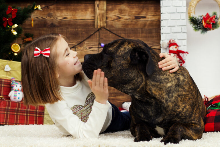 the girl hugs cane corso
