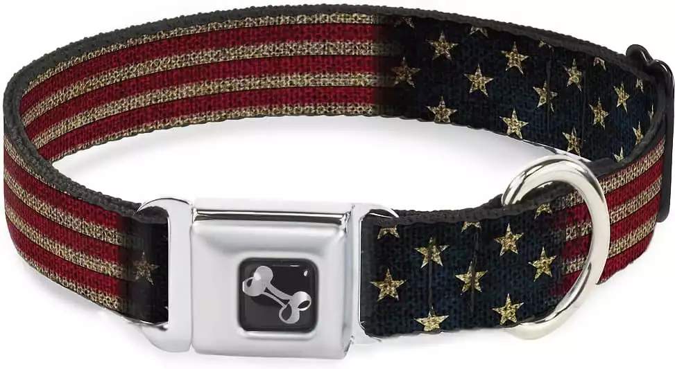Buckle-Down Vintage U.S. Collar