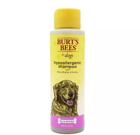 Burt's Bees Hypoallergenic Shampoo