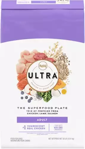 Nutro Ultra Adult Dry Food