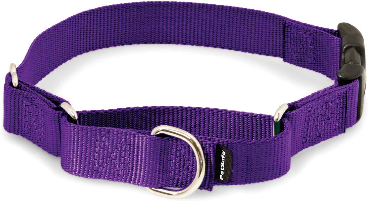 PetSafe Premier Quick Snap Martingale Dog Collar