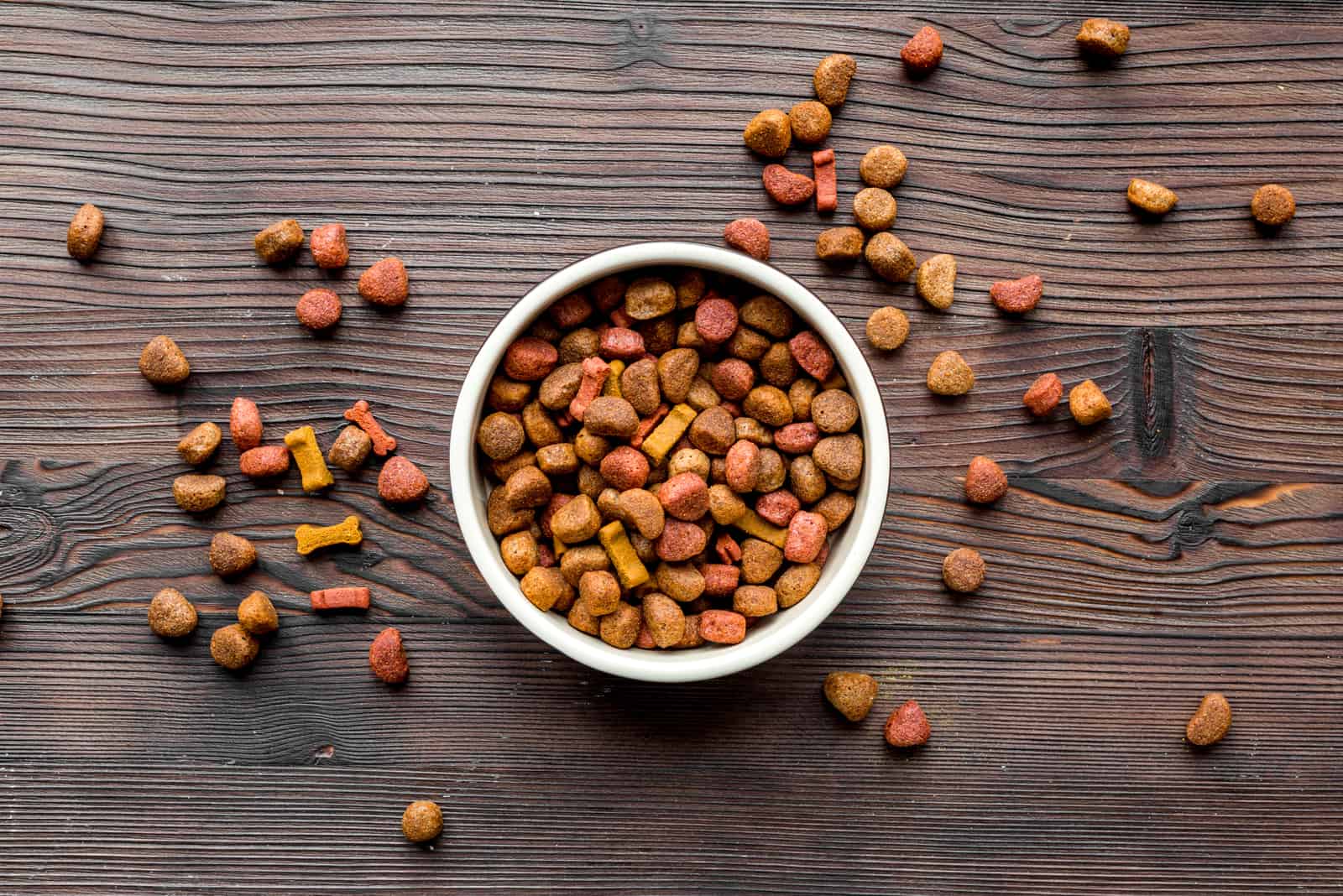 bowl of dog food on table