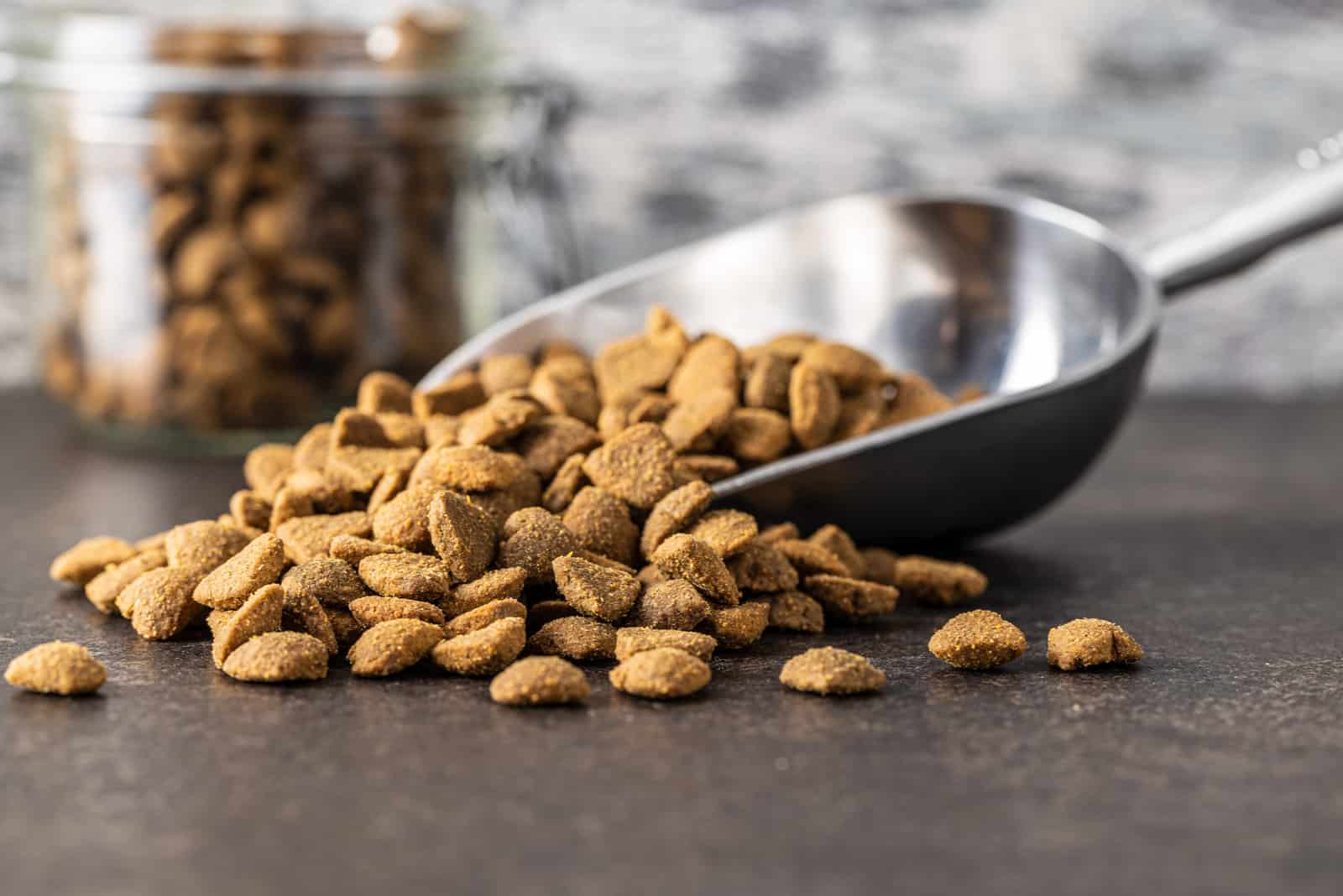 pet food kibble on table