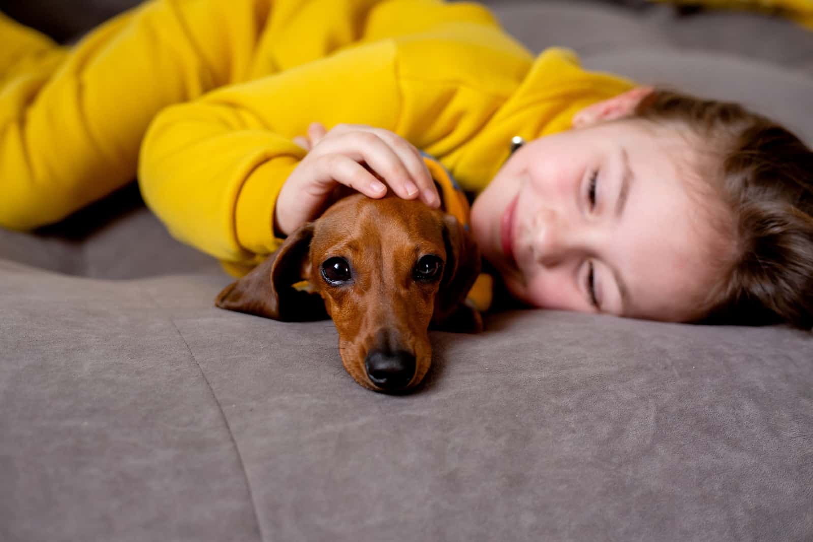 the girl is playing with a dachshund in bed