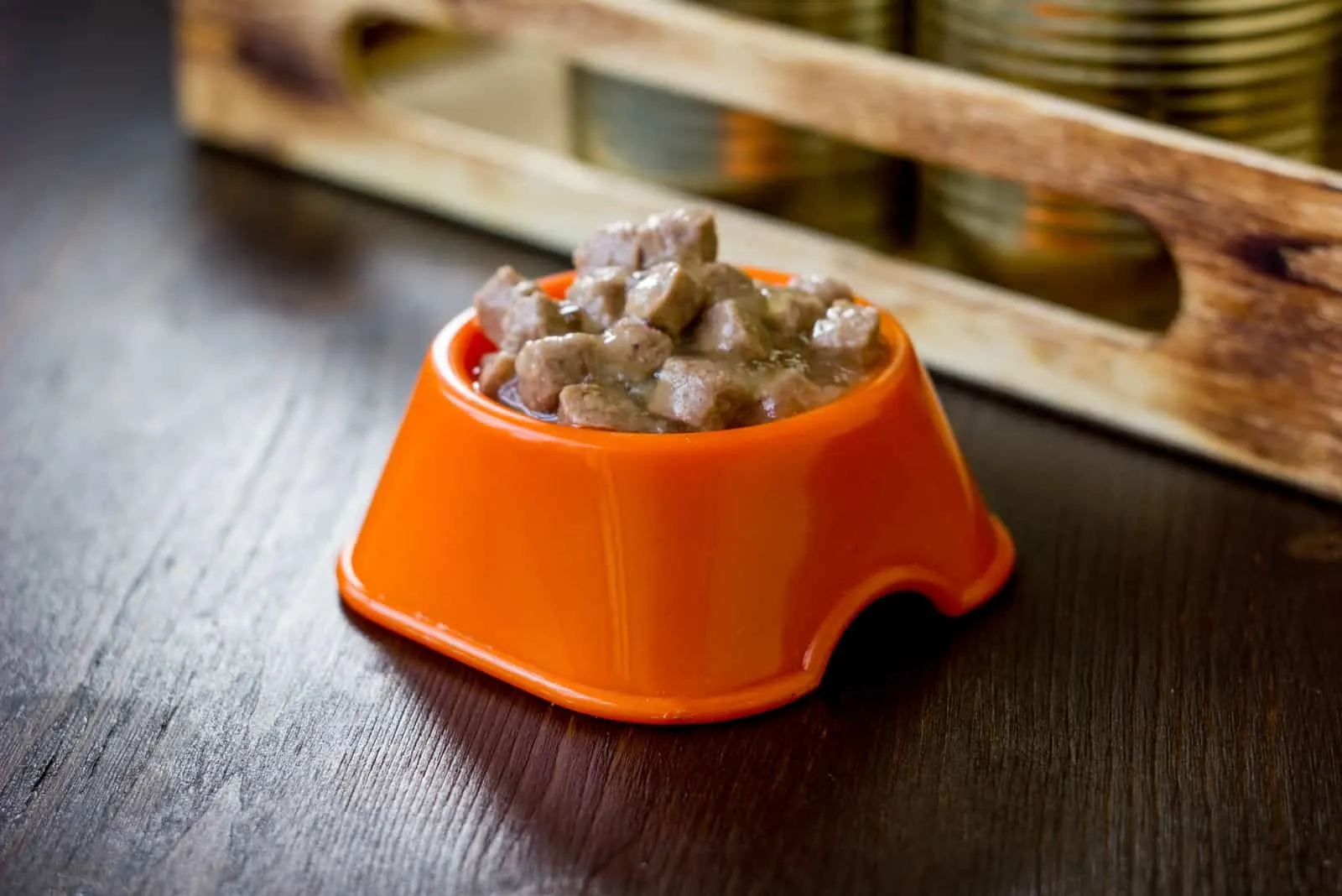 wet dog food in orange bowl