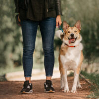 owner walking her dog