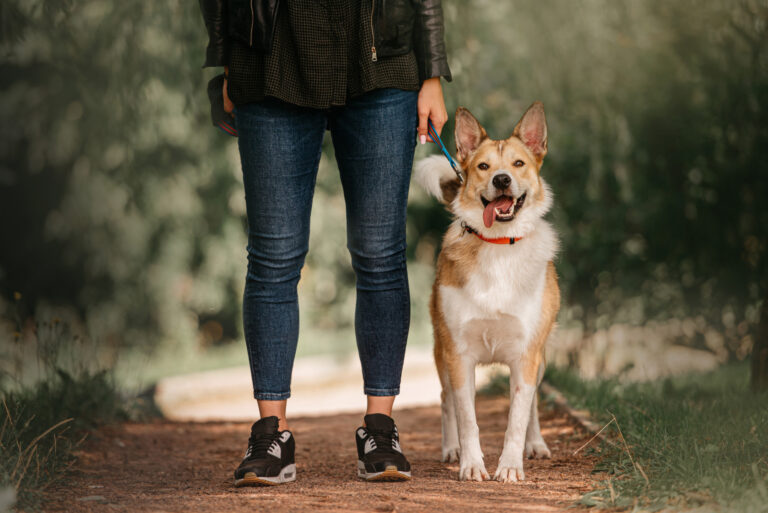 owner walking her dog