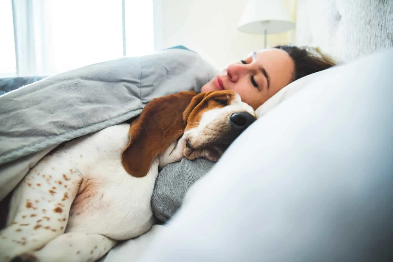 woman and dog sleeping in bed
