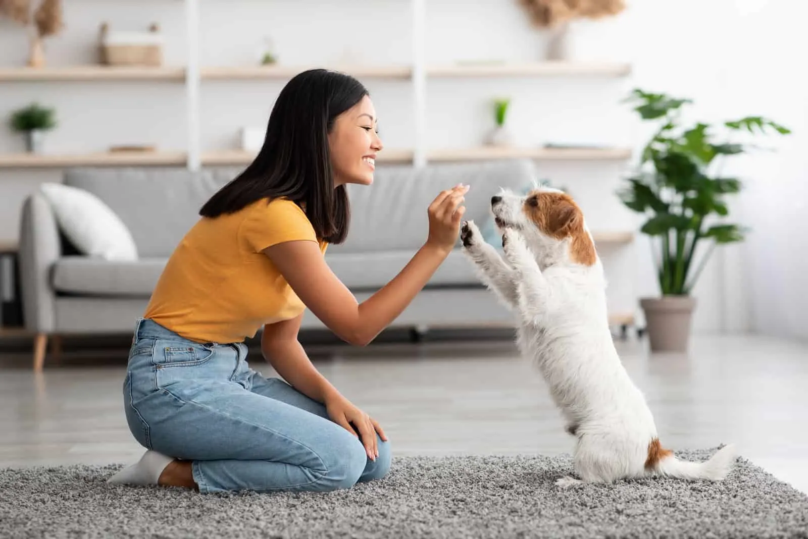 woman training dog