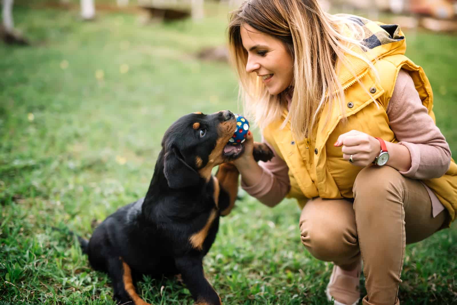 woman playing with a rottweiler puppy