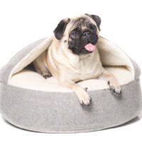 pug lying in grey dog bed
