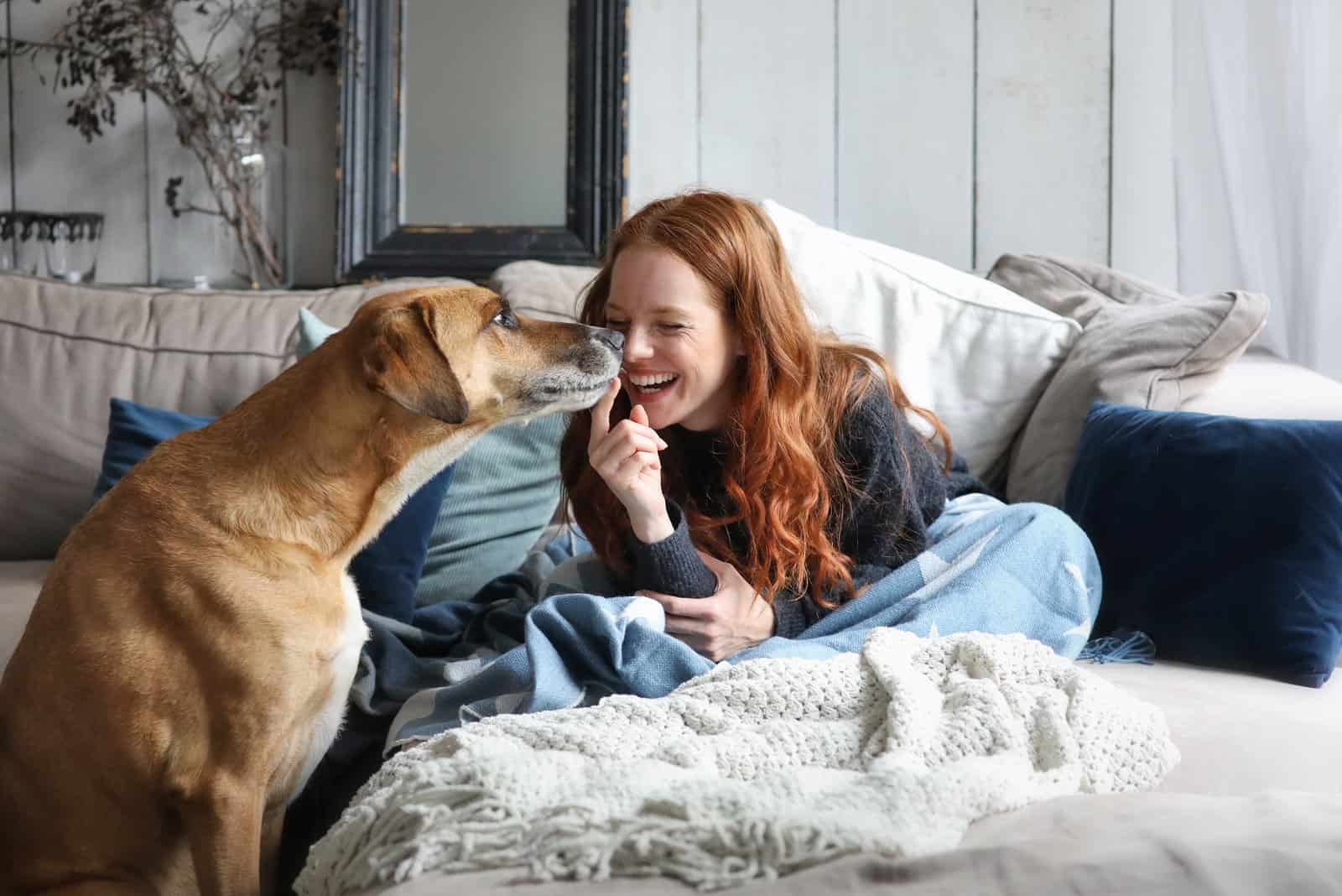 Beautiful redhead woman sitting on a sofa laughing and cuddling a dog