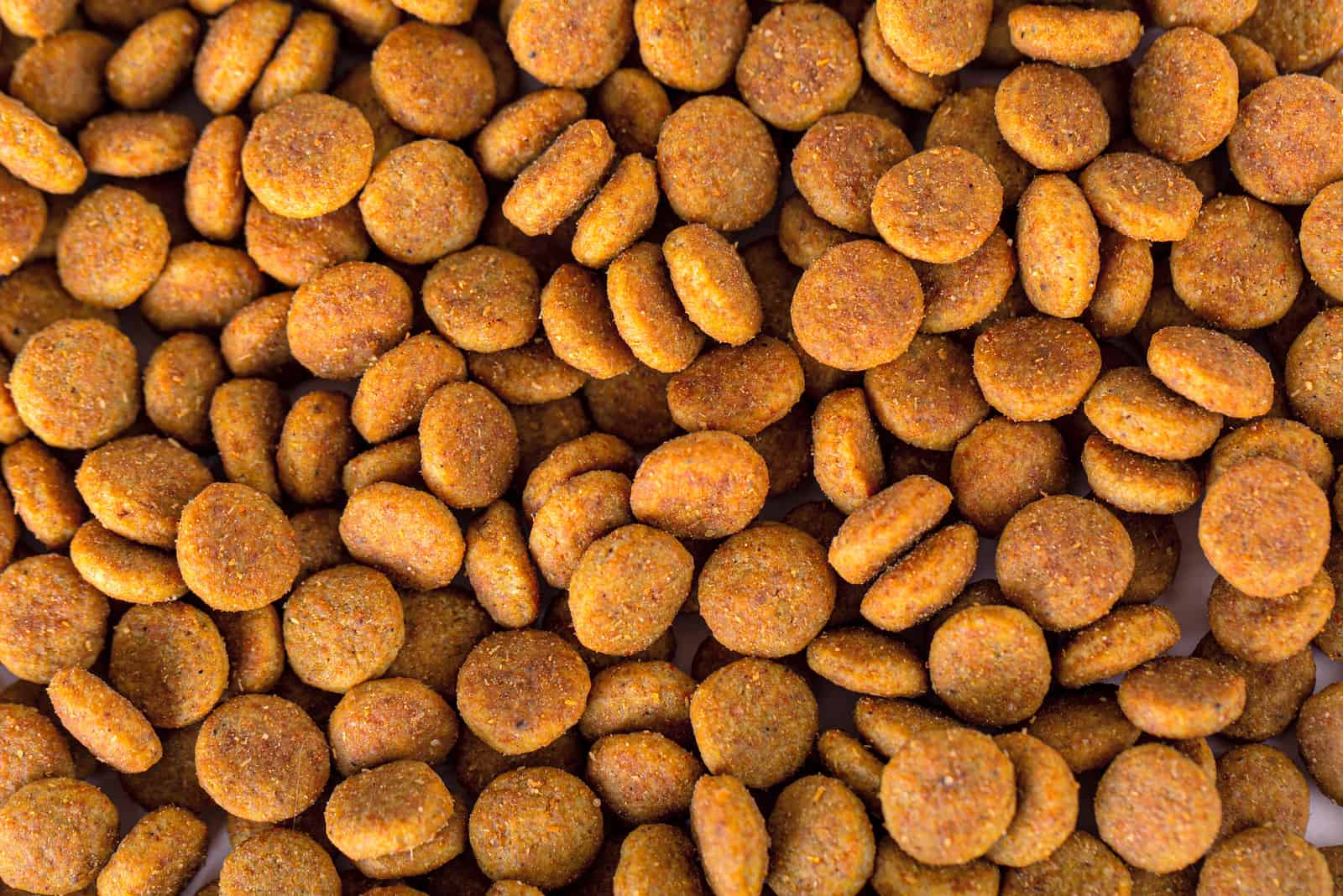 Kibble