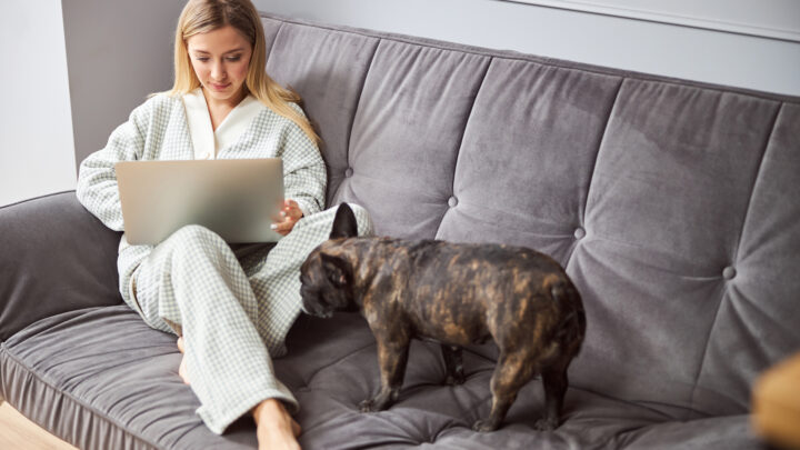 Why Do Dogs Like Period Blood? 6 Reasons And 3 Solutions