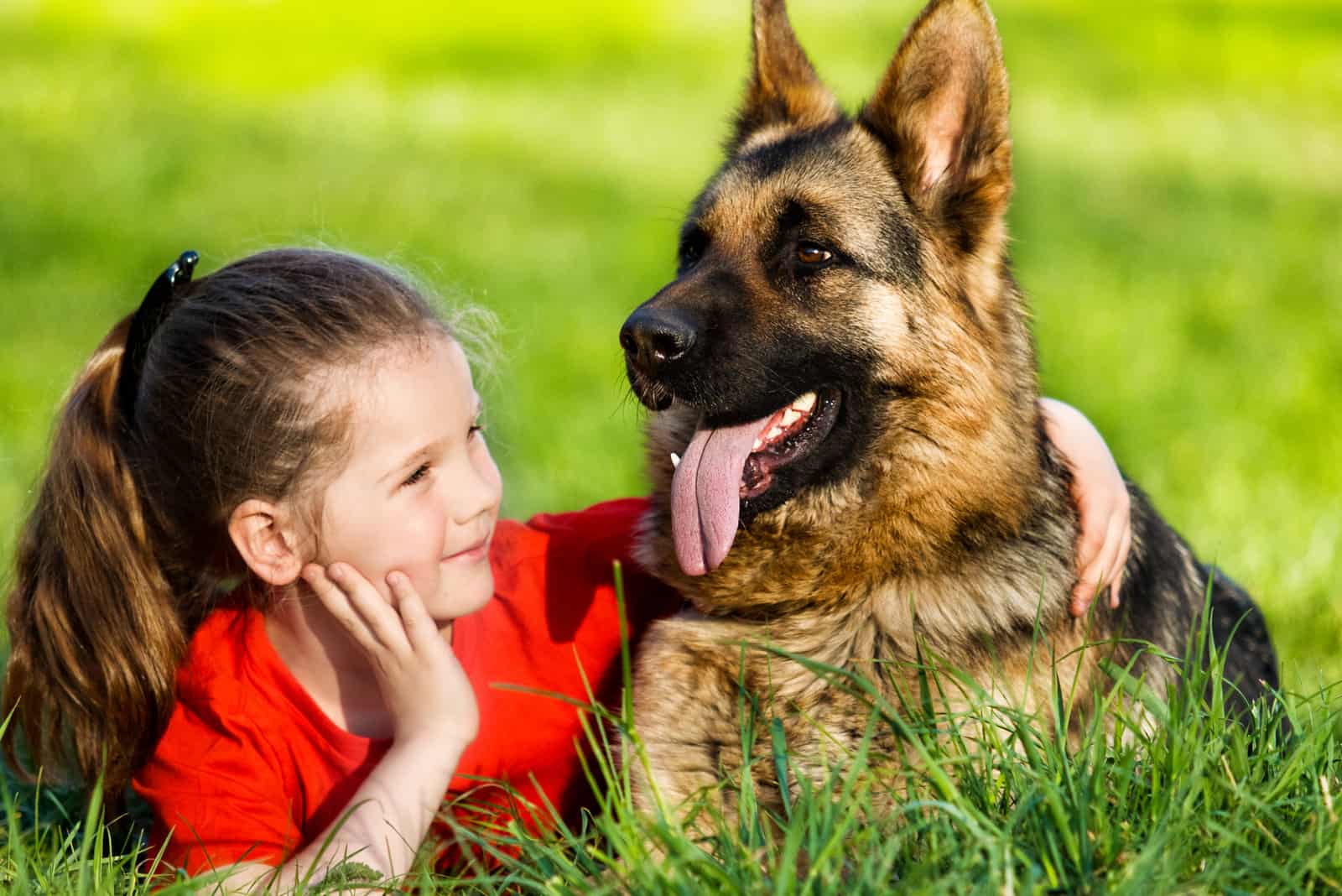a cute little girl lying on the grass with a german shepherd