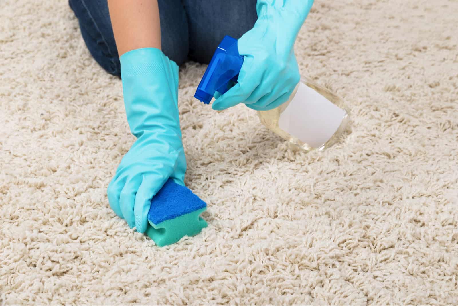 a woman with a sponge and vinegar cleans the carpet