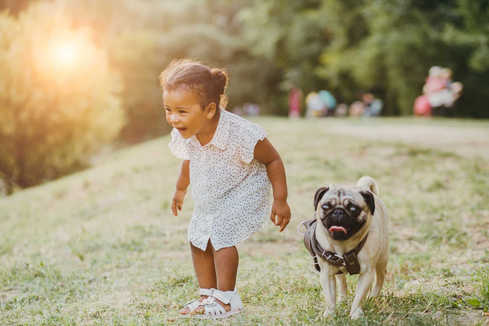 the child runs with Pug across the field