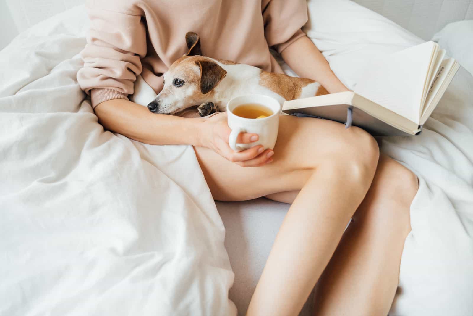 woman reading a book with dog in her lap