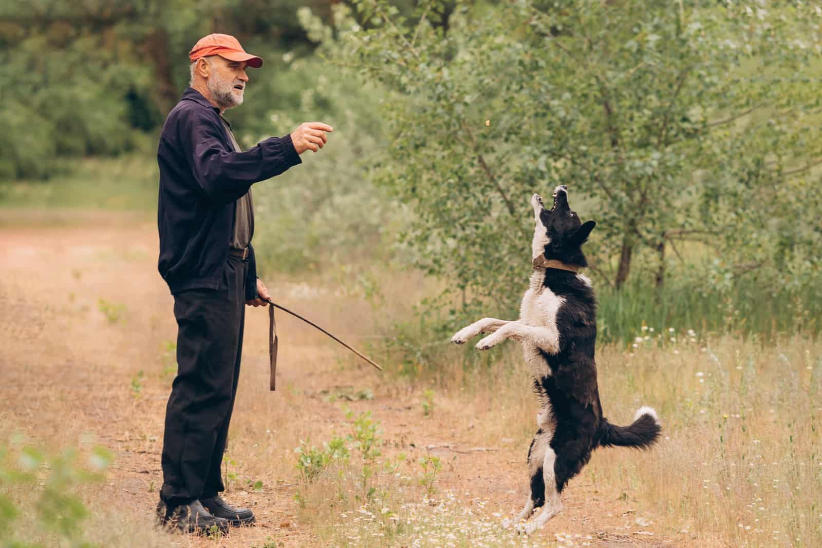 A man trains his yard dog in nature near the forest