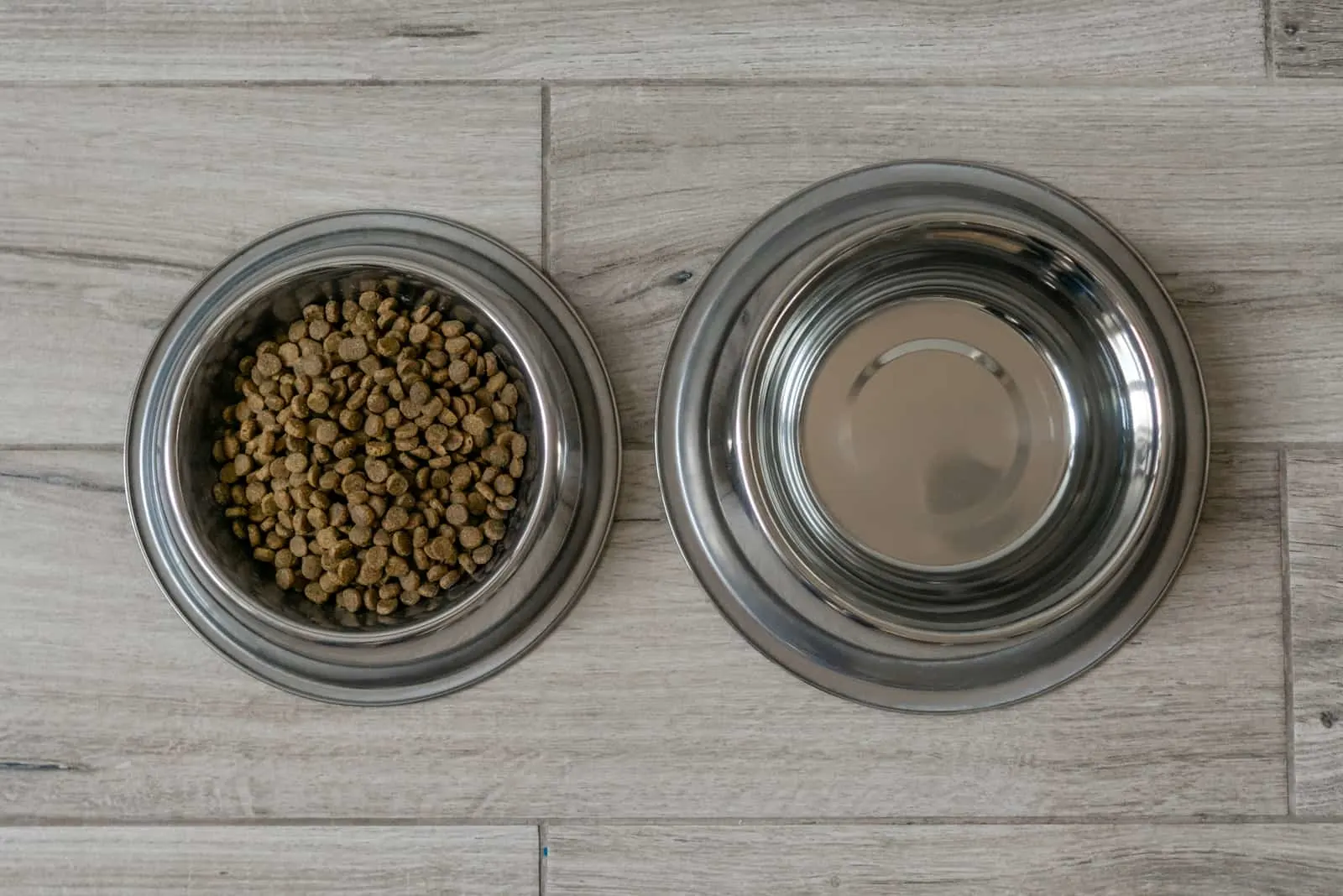 Bowl with dry food and water for pet