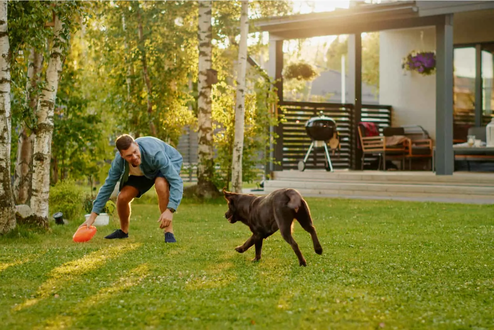 Handsome Man Plays Catch with Happy Brown Labrador Retriever