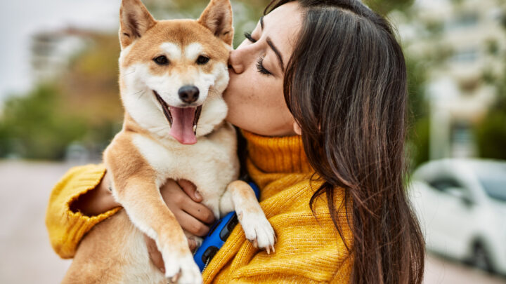 How Much Attention Does A Puppy Need: Revealing All Secrets