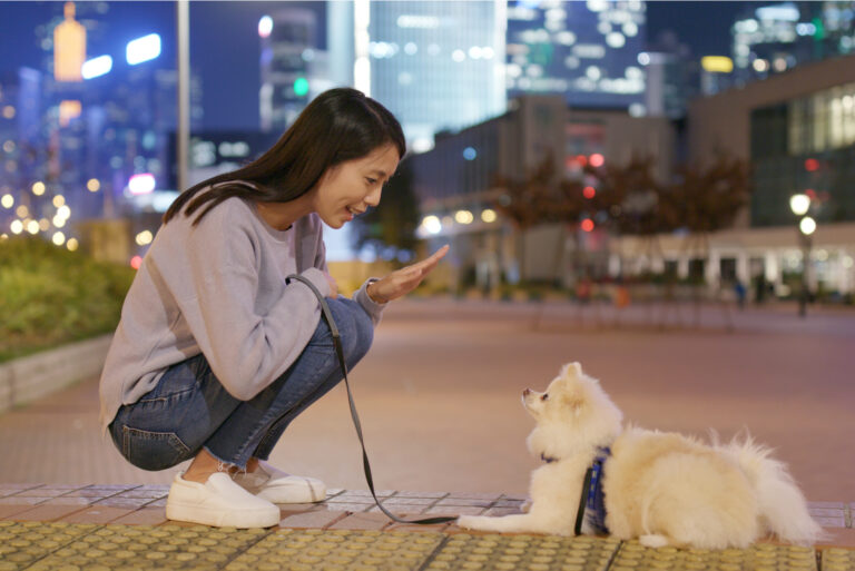 a woman trains her dog