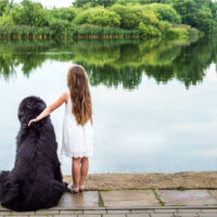 girl petting her newfoundland dog