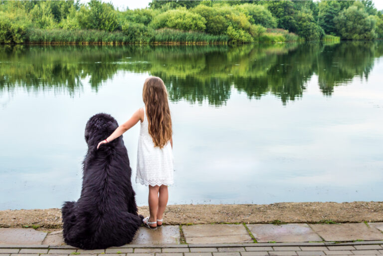 girl petting her newfoundland dog