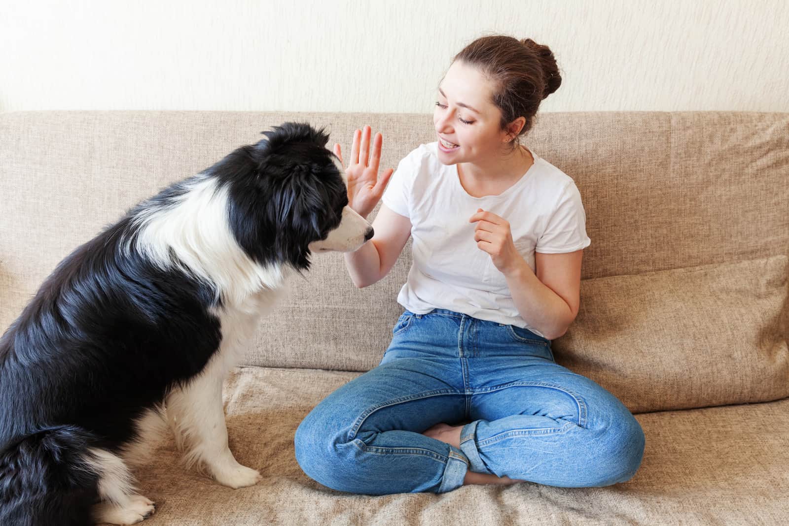 Smiling young attractive woman playing with cute puppy dog border collie