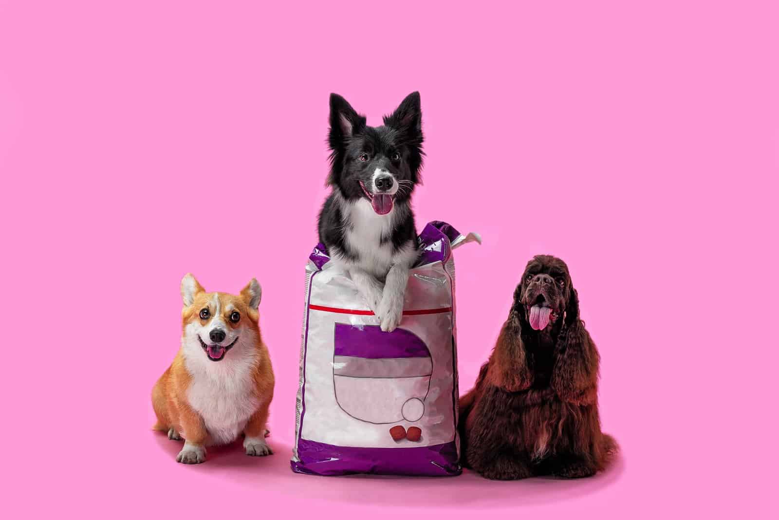 13 Worst Dog Food Brands On the Market