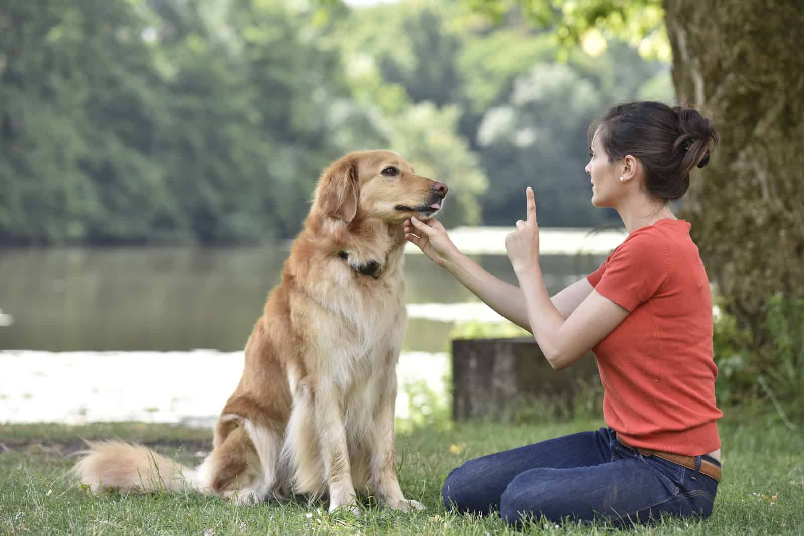 a woman trains a dog in the park