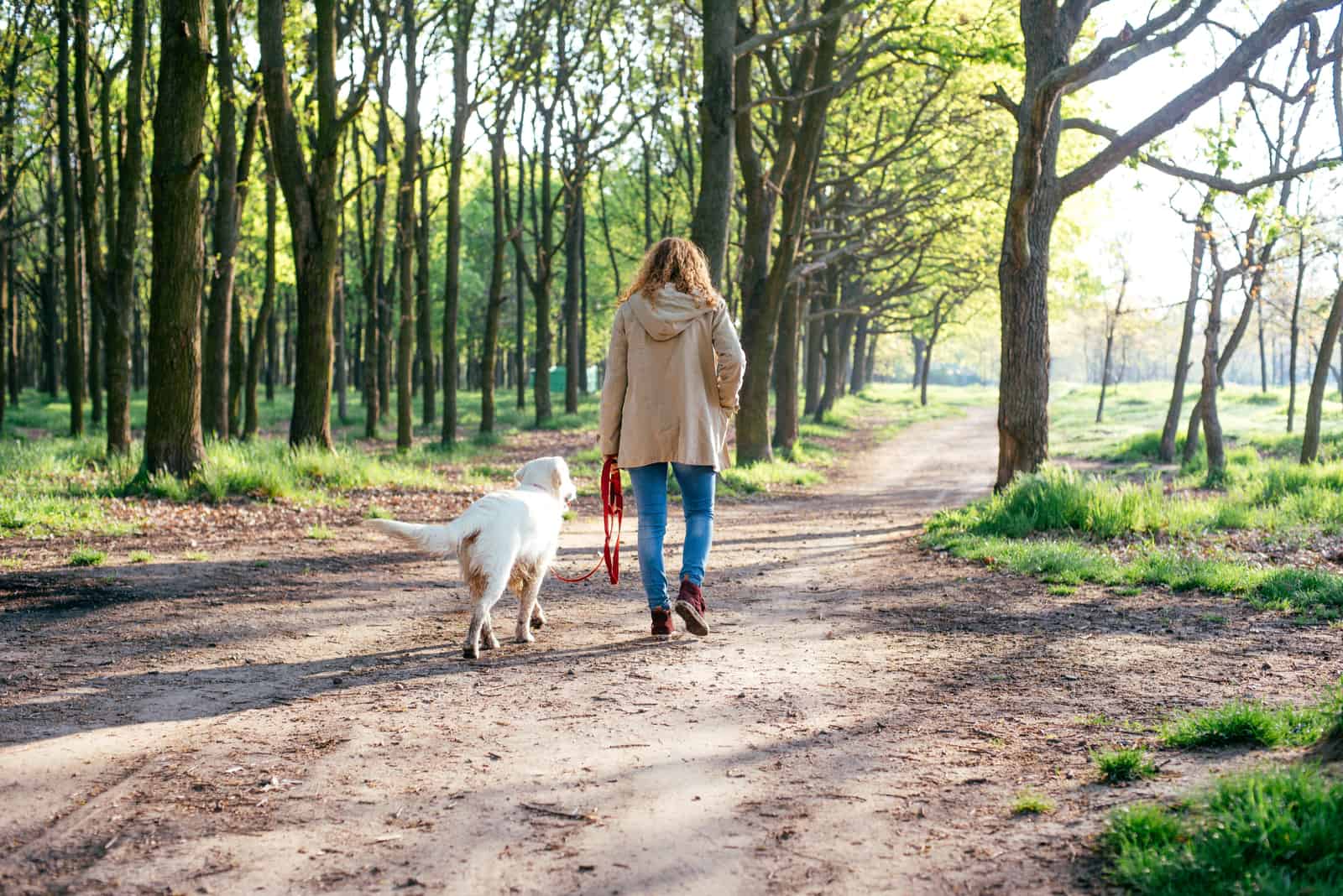a woman walks with a dog by nature