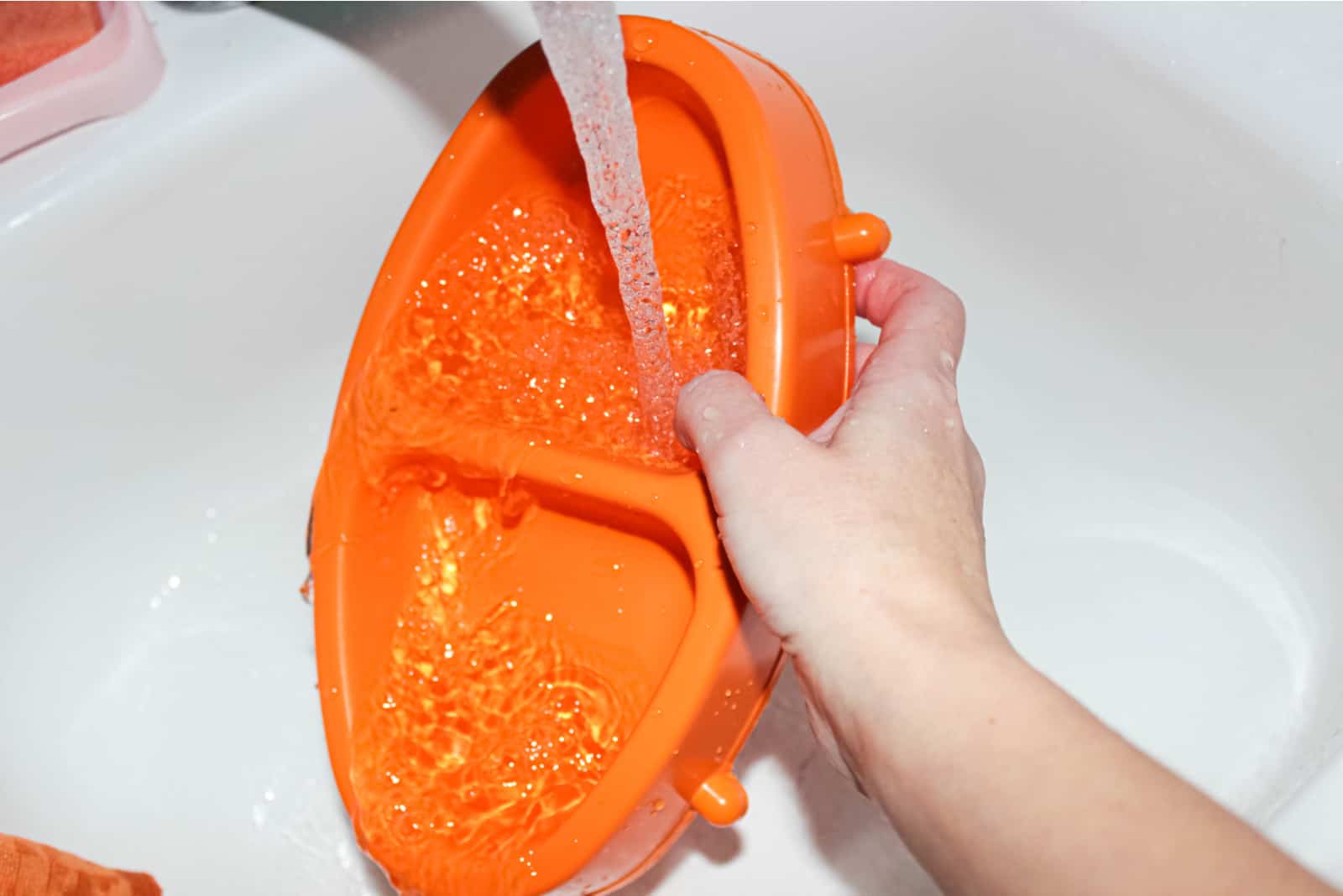 a woman washes a dog dish