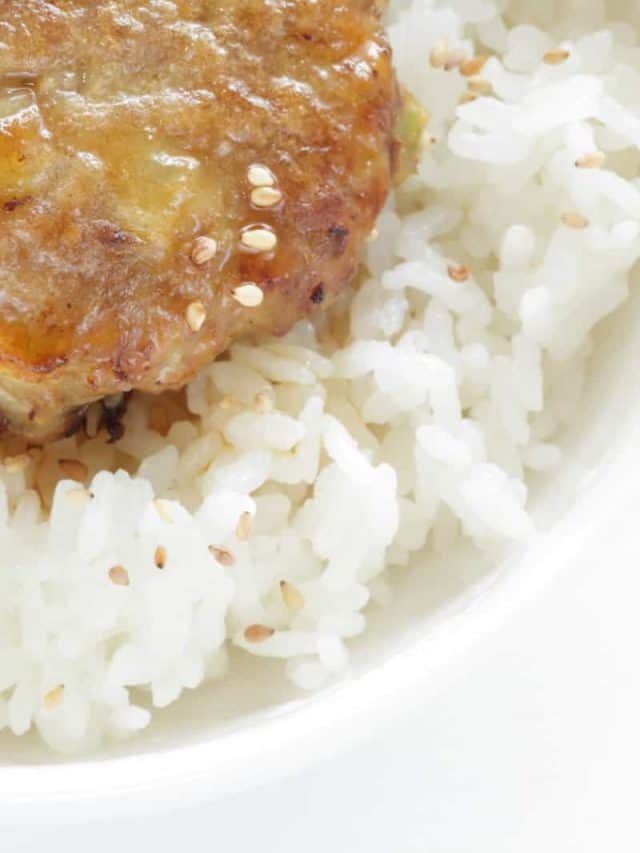 5 Reasons Why Prepare Hamburger And Rice For Dogs PupVine