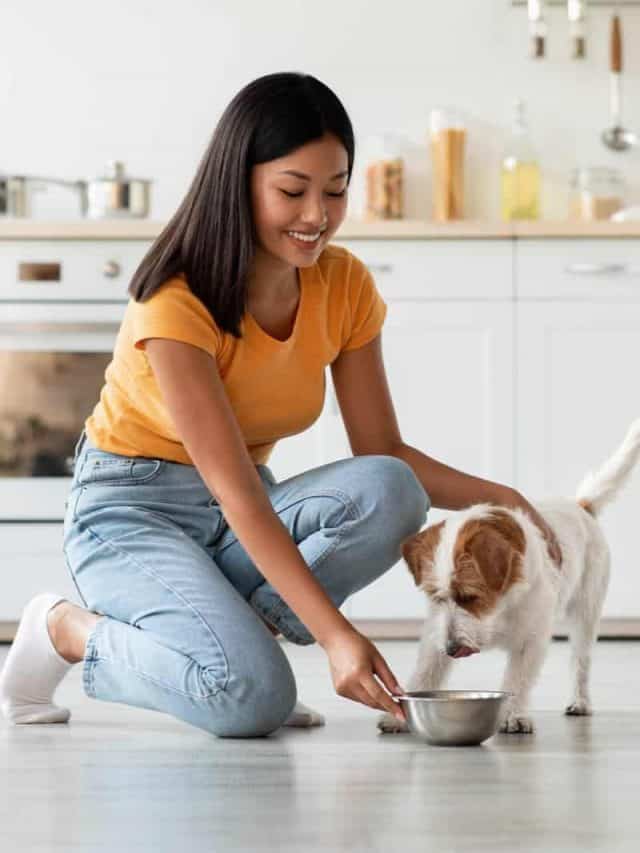 woman feeding her small dog