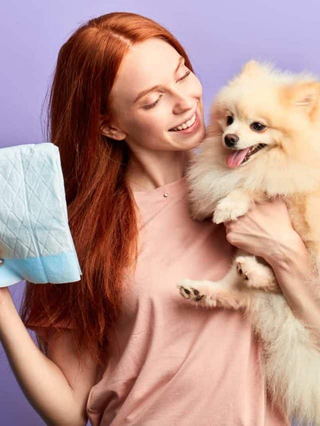 woman holding dog and diapers