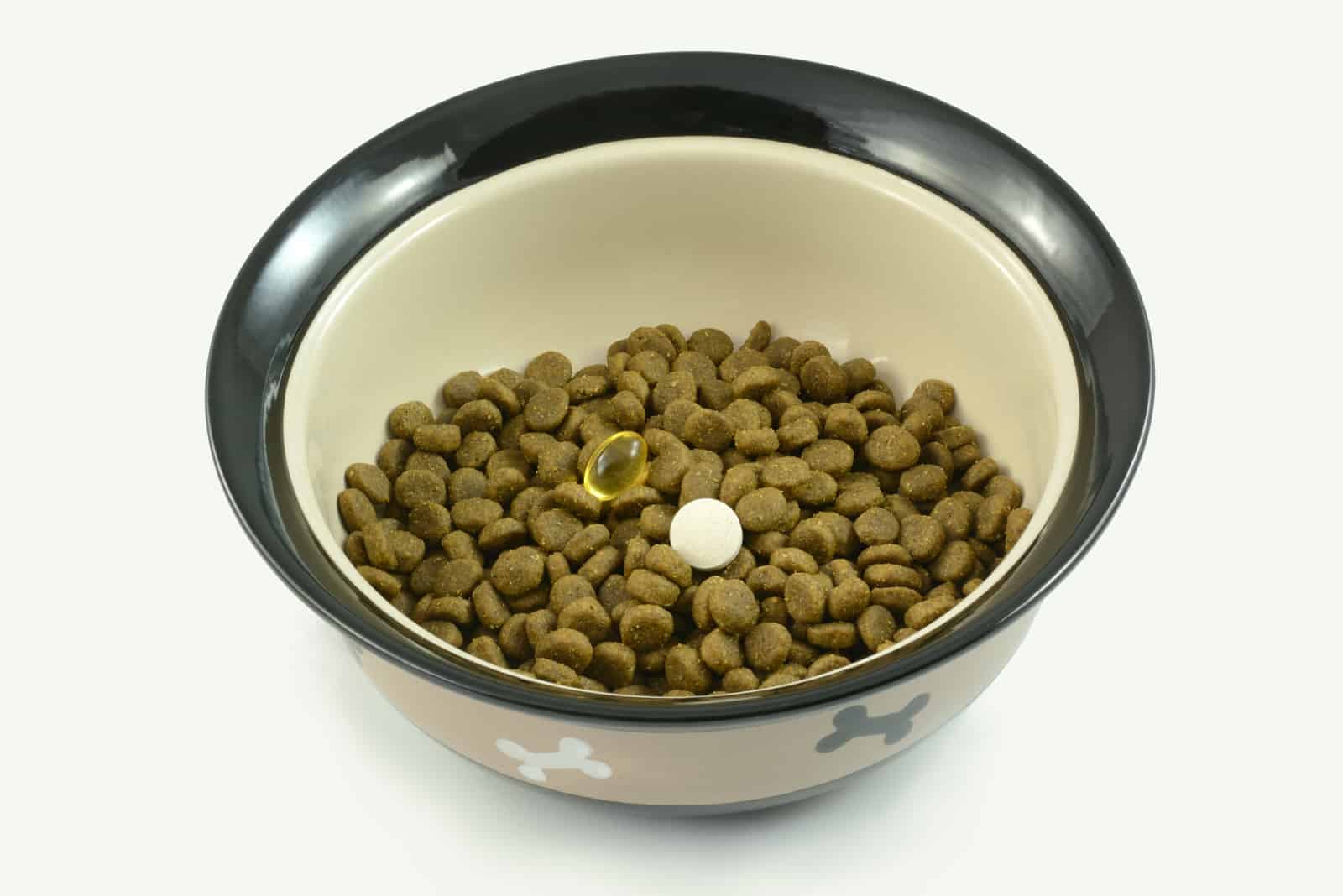 dog food with fish oil