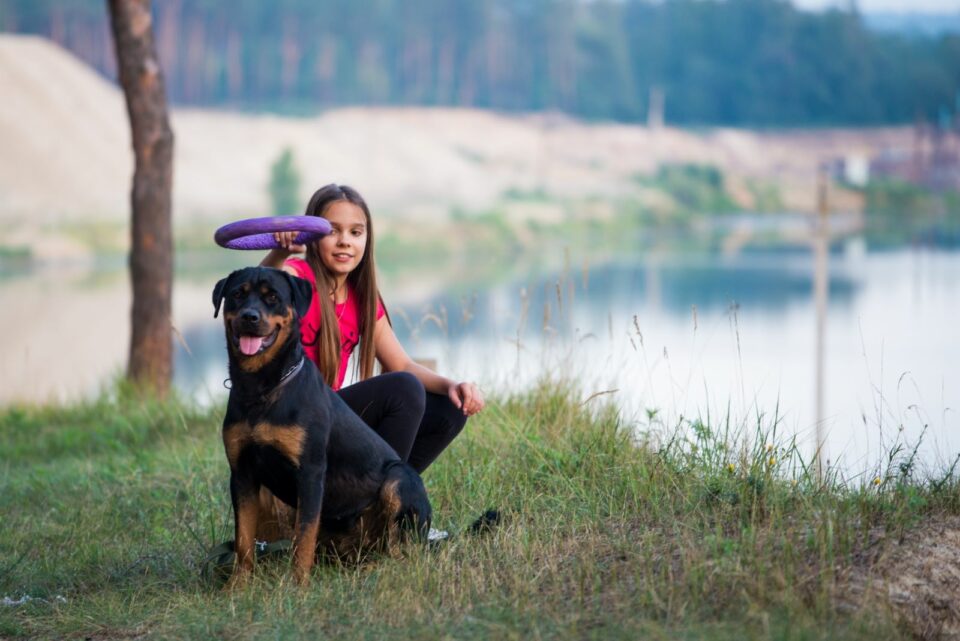 11 Best Toys For Rottweiler Dogs That They Simply Adore