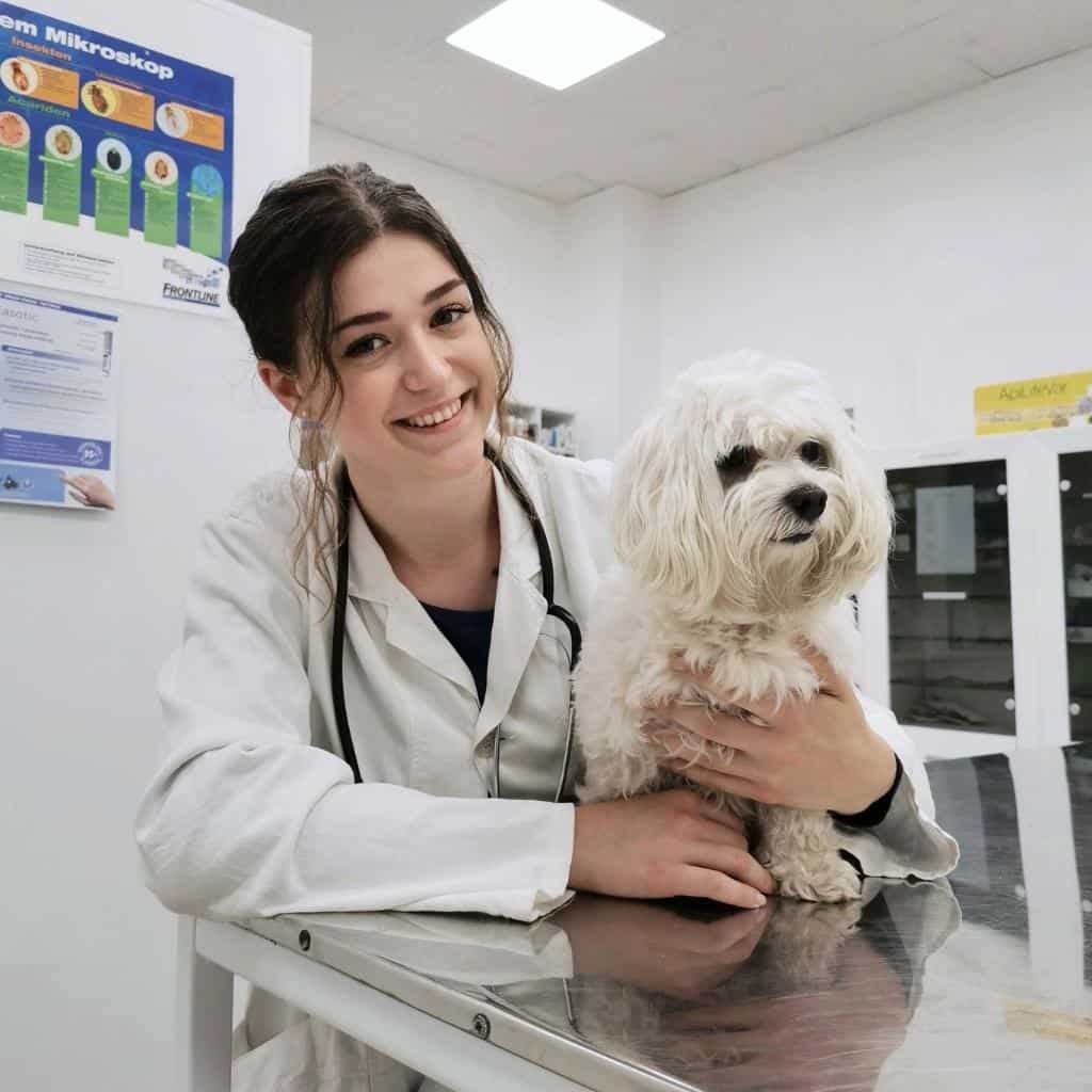 iram sharma veterinarian pupvine