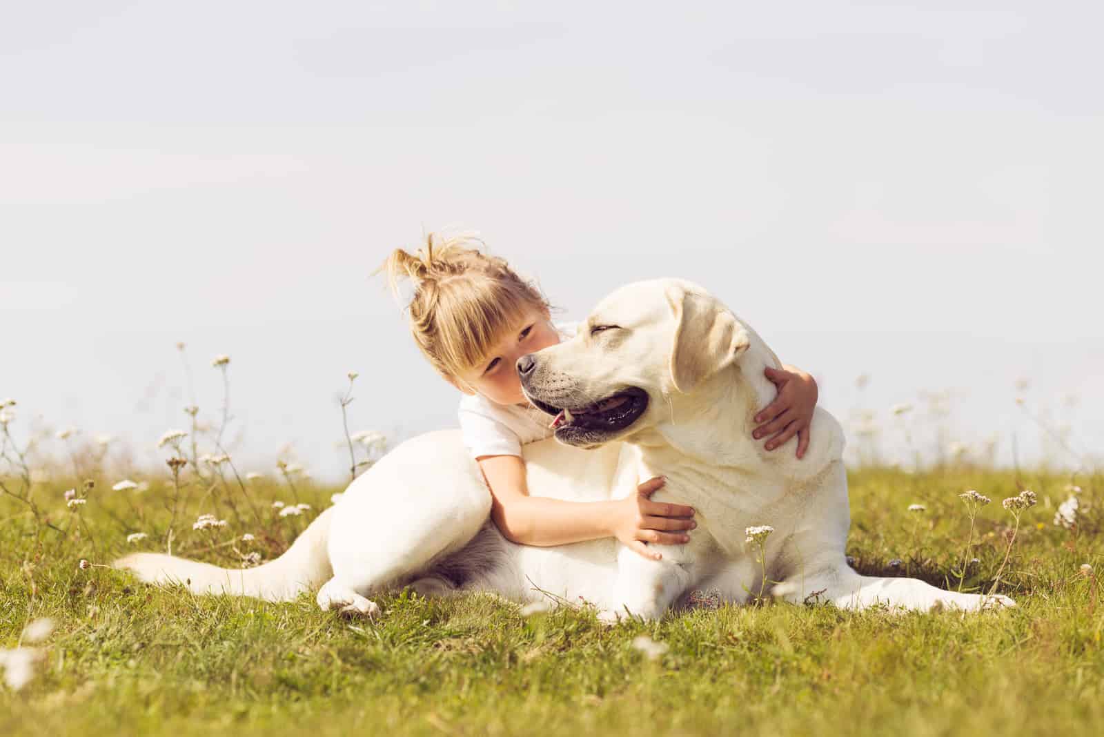 the girl hugged the labrador