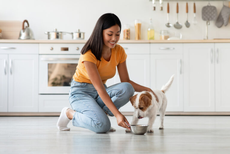 7 Vet Approved Homemade Dog Food Recipes For Kidney Disease