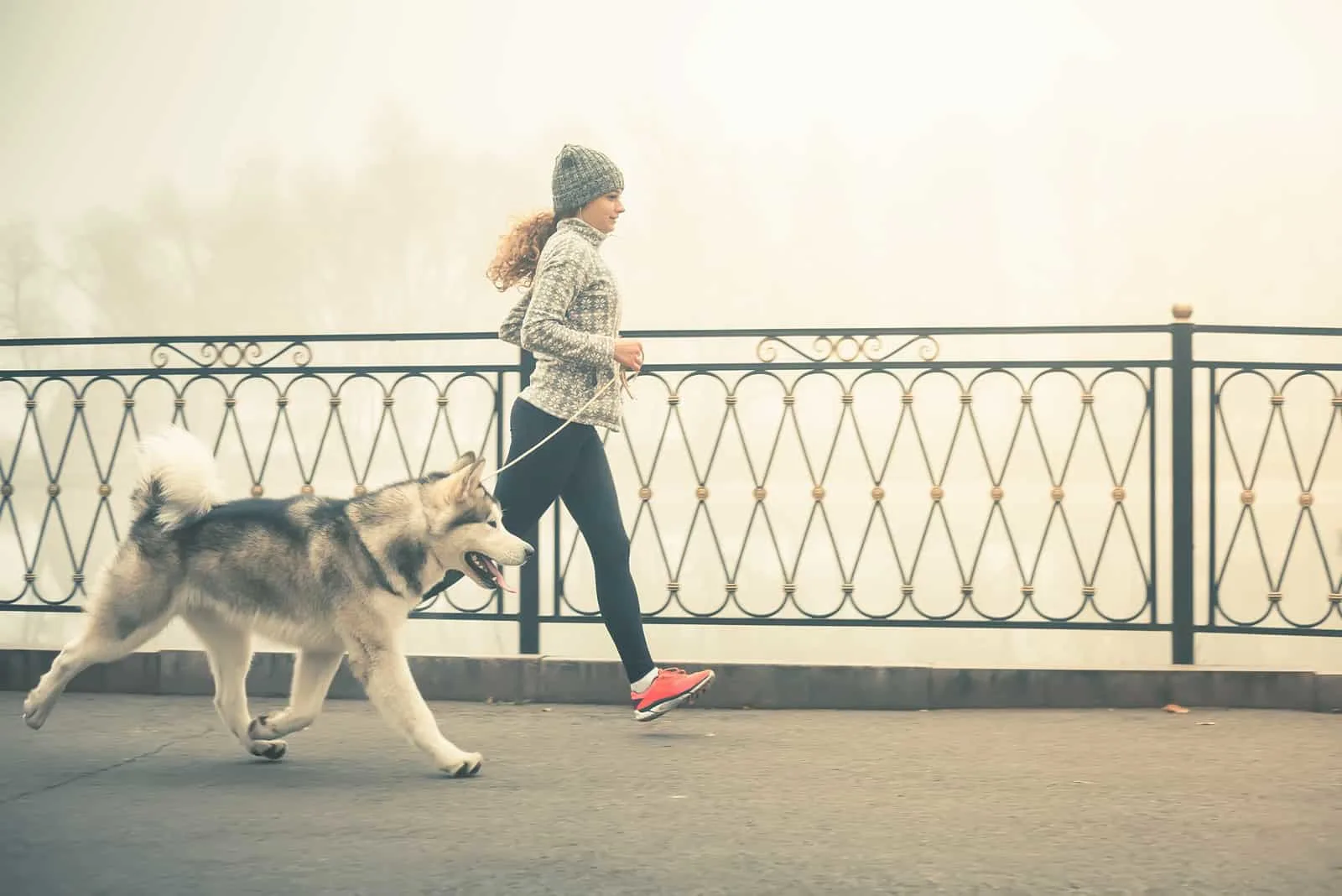 young girl running with her dog, alaskan malamute