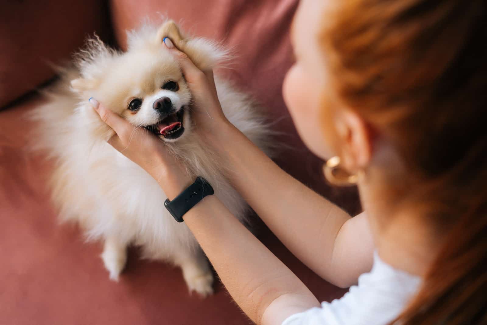 young woman stroking head loving doggy at home